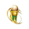 Competición