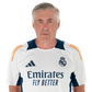 Foto de C. Ancelotti