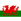 Wales U19