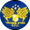 Treowen Stars