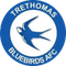 Trethomas Bluebirds
