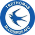 Trethomas Bluebirds