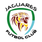 Jaguares