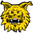 Ilves Tampere