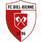 Biel-Bienne