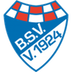Brinkumer SV