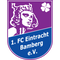 Eintracht Bamberg