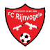 Rijnvogels