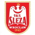 Ślęza Wrocław