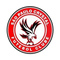 São Paulo Crystal