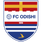 Odishi 1919