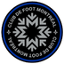 CF Montreal