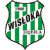 Wisłoka Dębica