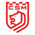 CSM Satu Mare