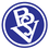 Bremer SV