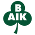 Bergnäsets