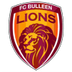 Bulleen Lions