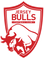 Jersey Bulls