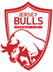 Jersey Bulls