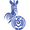 MSV Duisburg