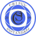 Crişul Sântandrei