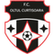 Oltul Curtişoara