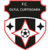 Oltul Curtişoara