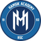 Hamsik Academy
