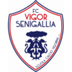 Vigor Senigallia