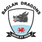 Baglan Dragons