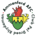 Ammanford AFC