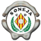 Soneja
