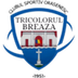 Tricolorul Breaza