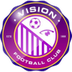 Vision