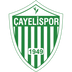 Çayelispor