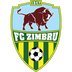 Zimbru II