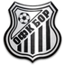 OFK Bor 1919