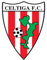Celtiga