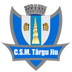 CSM Targu Jiu