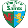 The New Saints
