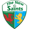 The New Saints