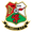 llanelli AFC