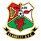 llanelli AFC