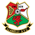 llanelli AFC