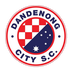 Dandenong City