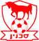 Bnei Sakhnin