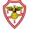 Salgueiros