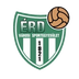 Érdi VSE