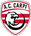 Carpi