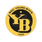 BSC Young Boys